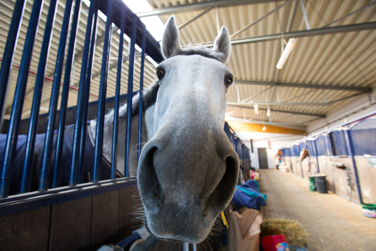 MC Architektura Wnętrz - Szary Residence